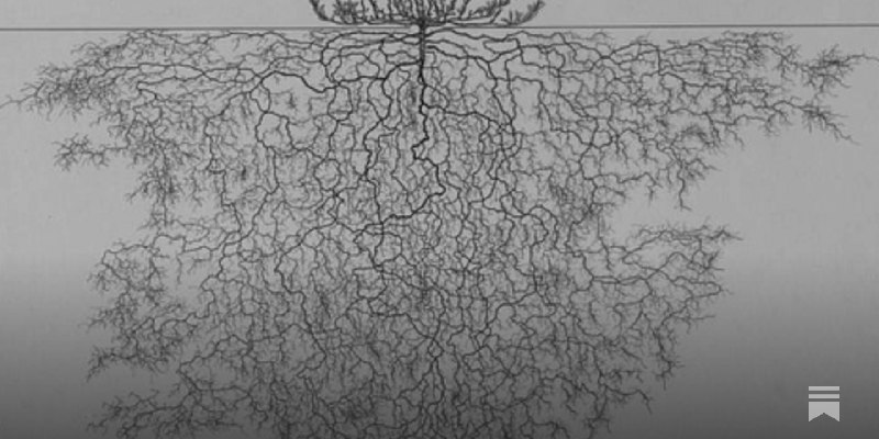 How to think in writing